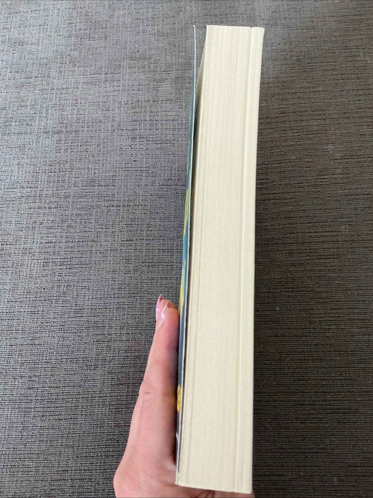 The Stolen Hours Eskens, Allen paperback Very Good