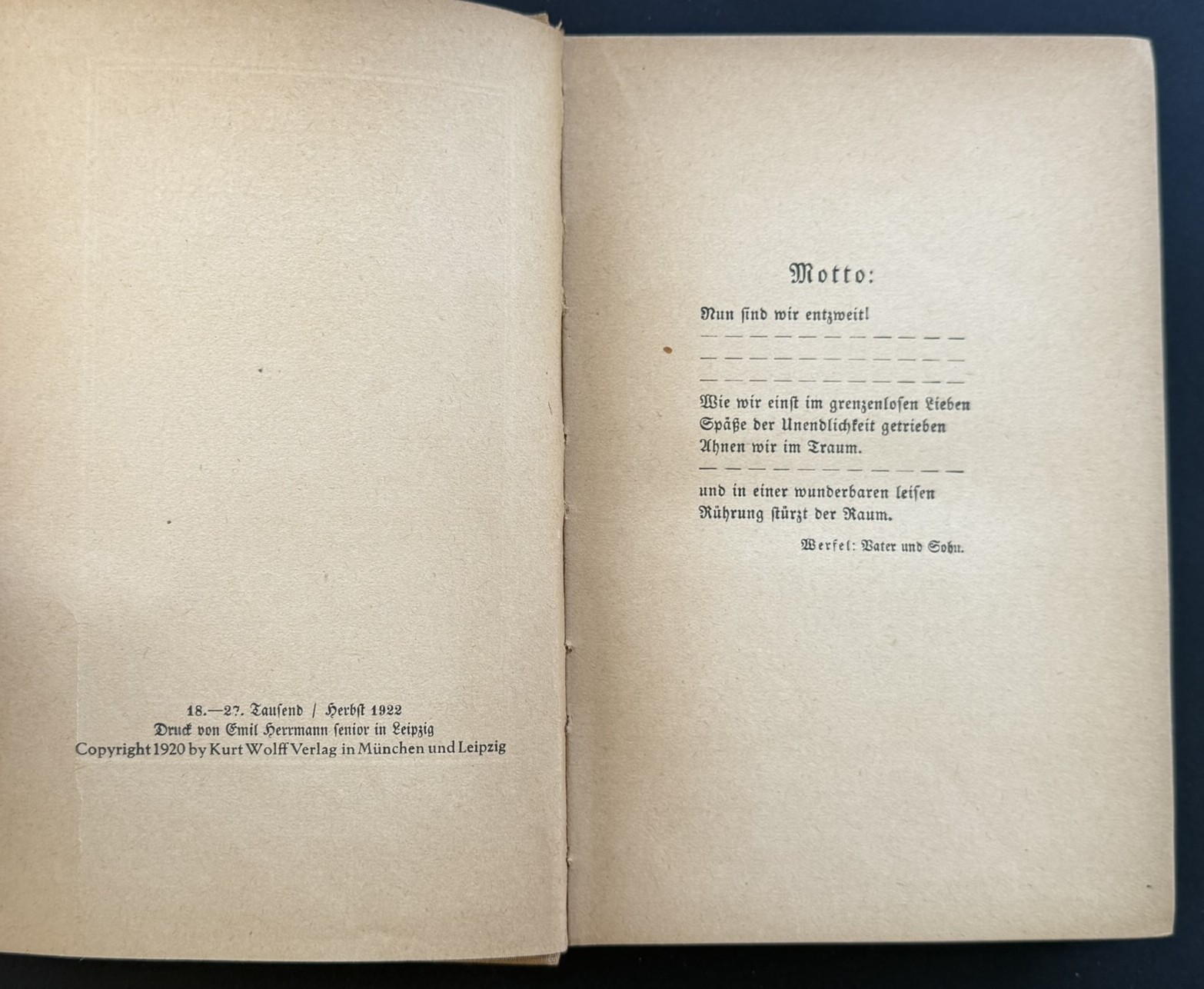 Franz Werfel Inscribed SIGNED in Vienna Nicht der Mörder 1922 Kurt Wolff German