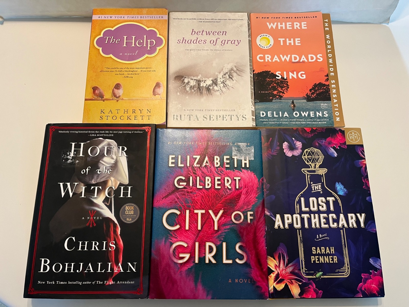 Lot of 6 Novels Books Ruta Sepetys Sarah Penner Delia Owens Kathryn Stockett