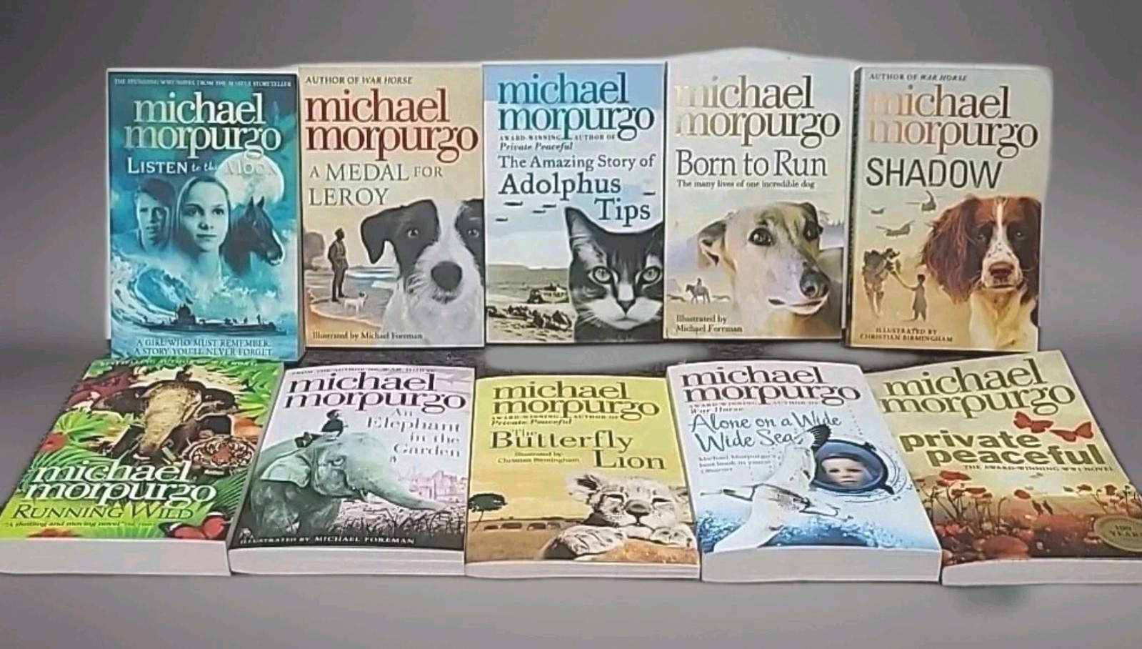 Michael Morpurgo Paperback Book Lot Shadow, Born to Run Others (Lot of 10) NEW