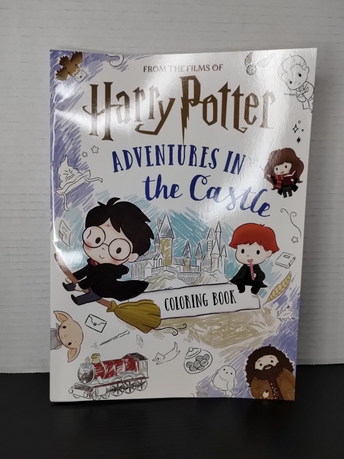Harry Potter Adventures in the Castle Coloring Book 16 Pages ✨ Brand New