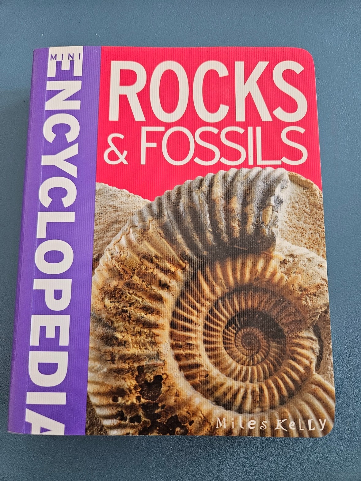 Encyclopedia ” Rocks & Fossils ” 370 pages Illustrated