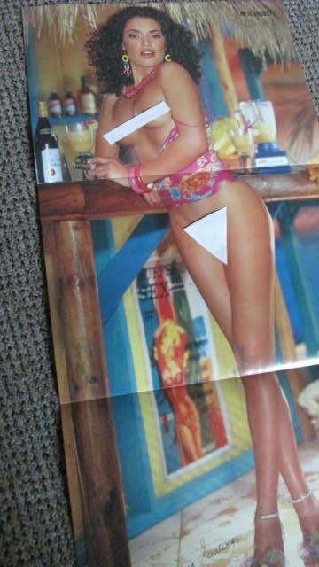 Full Year Set of 12, 2001 CENTERFOLDS: Playboy Magazine: DALENE KURTIS PMOY
