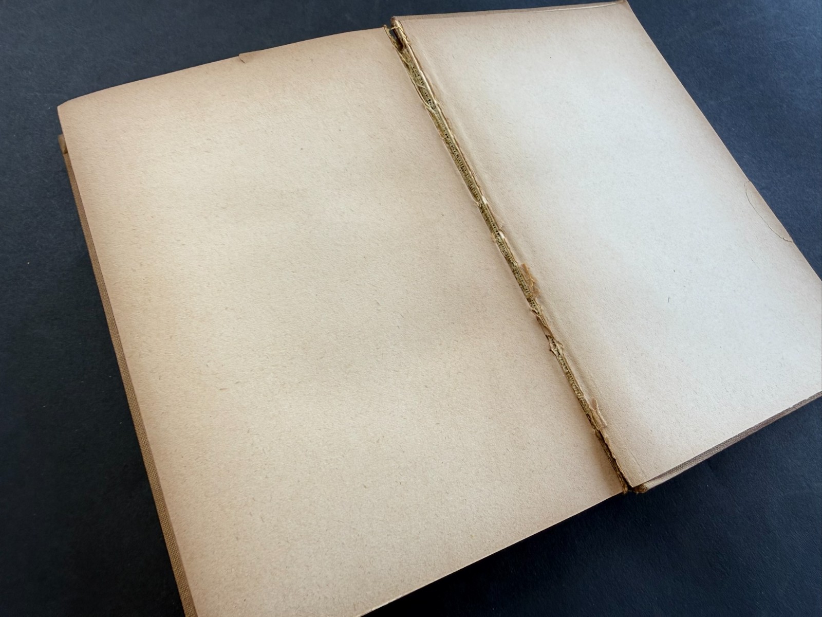Franz Werfel Inscribed SIGNED in Vienna Nicht der Mörder 1922 Kurt Wolff German