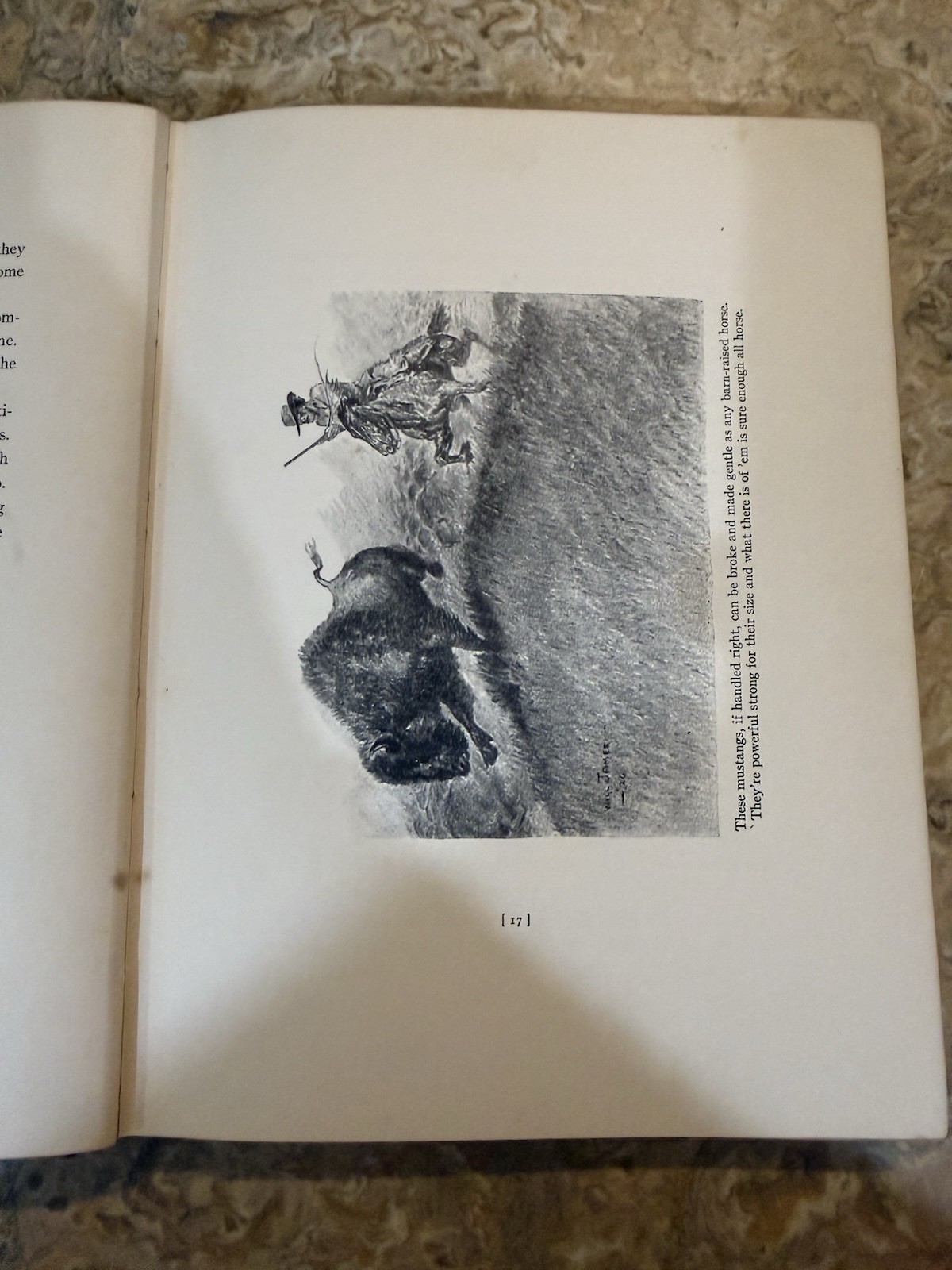 Cow Country by Will James –1927 Charles Scribner’s Sons First Edition Ex Library