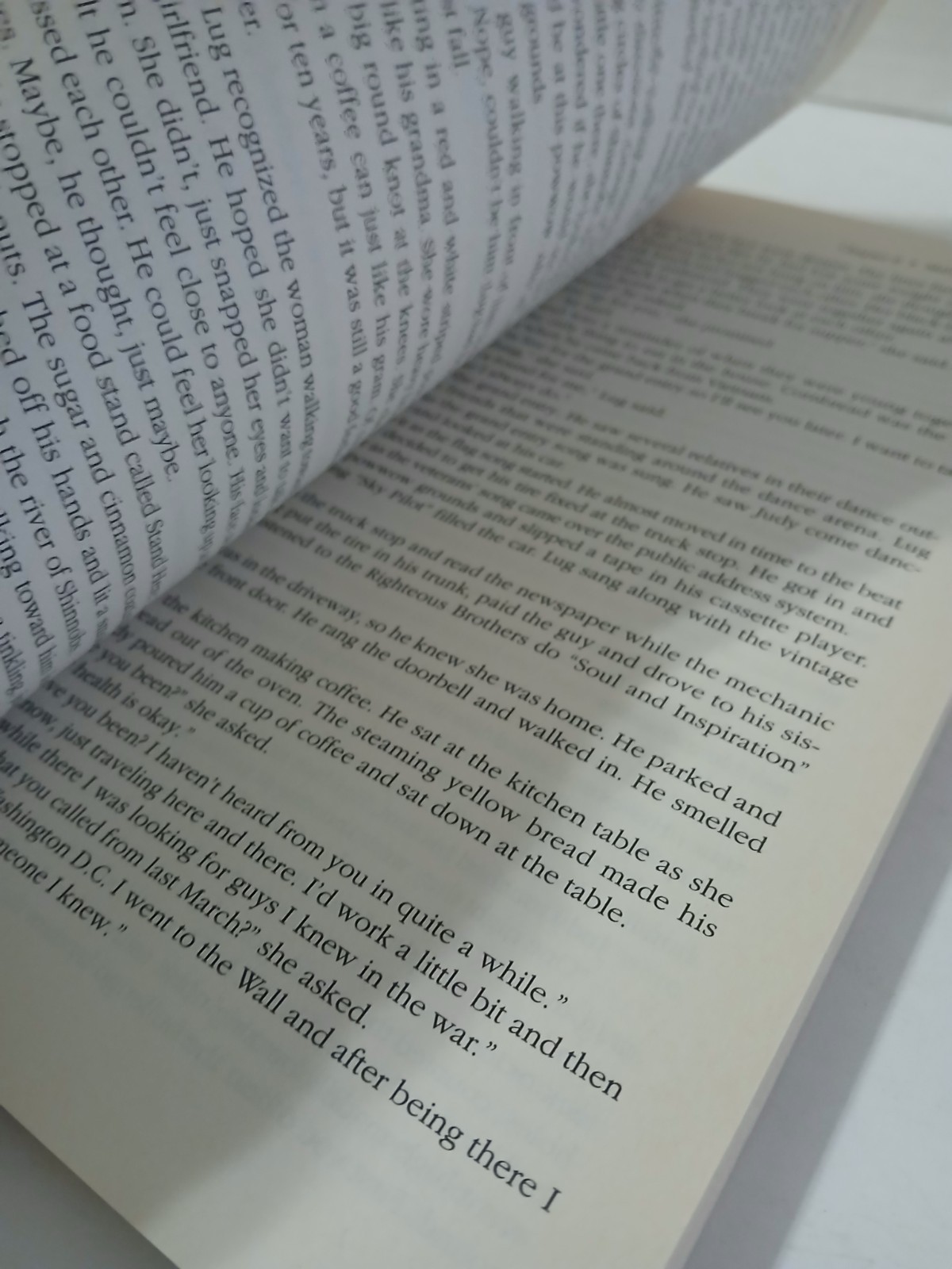Literature and Gender by Elizabeth Primamore