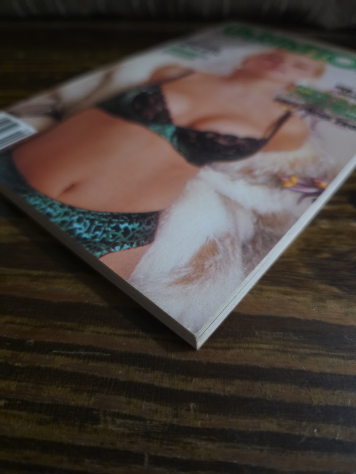 Penthouse Variations June 1989 Digest Size Magazine