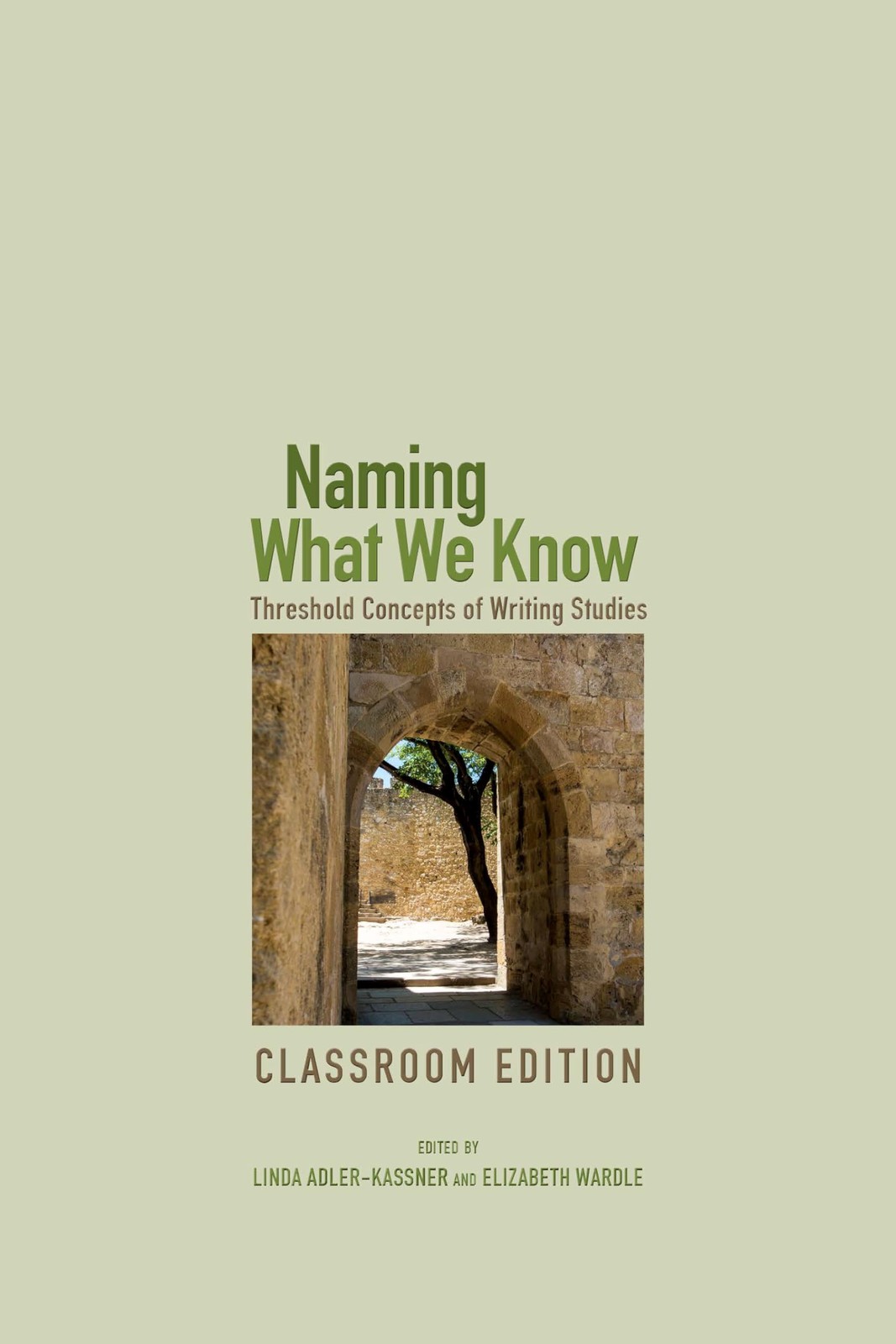 Naming What We Know, Classroom Edition: Threshold Concepts of Writing Studie…