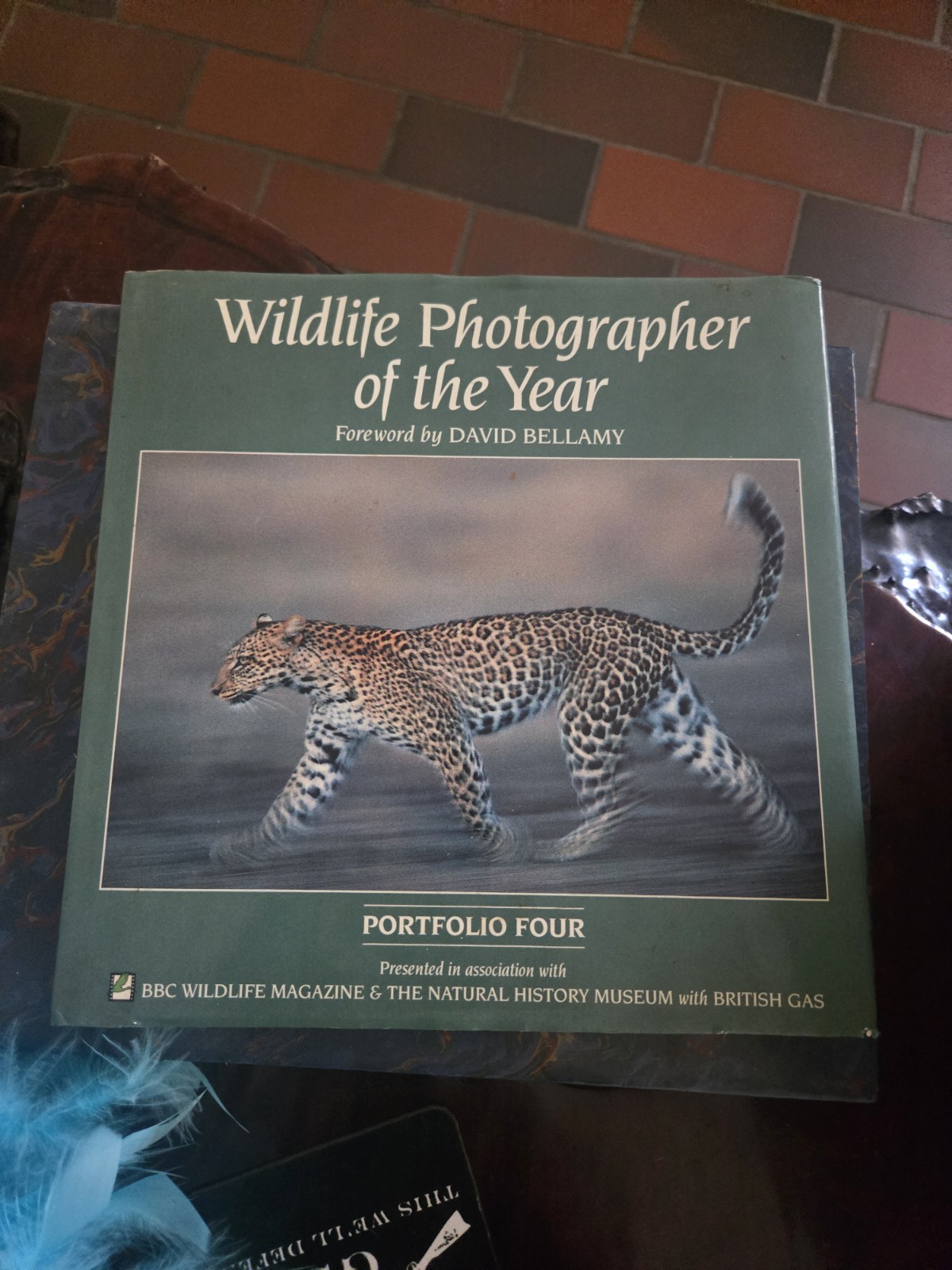 Wildlife Photographer Of The Year David BELLAMY