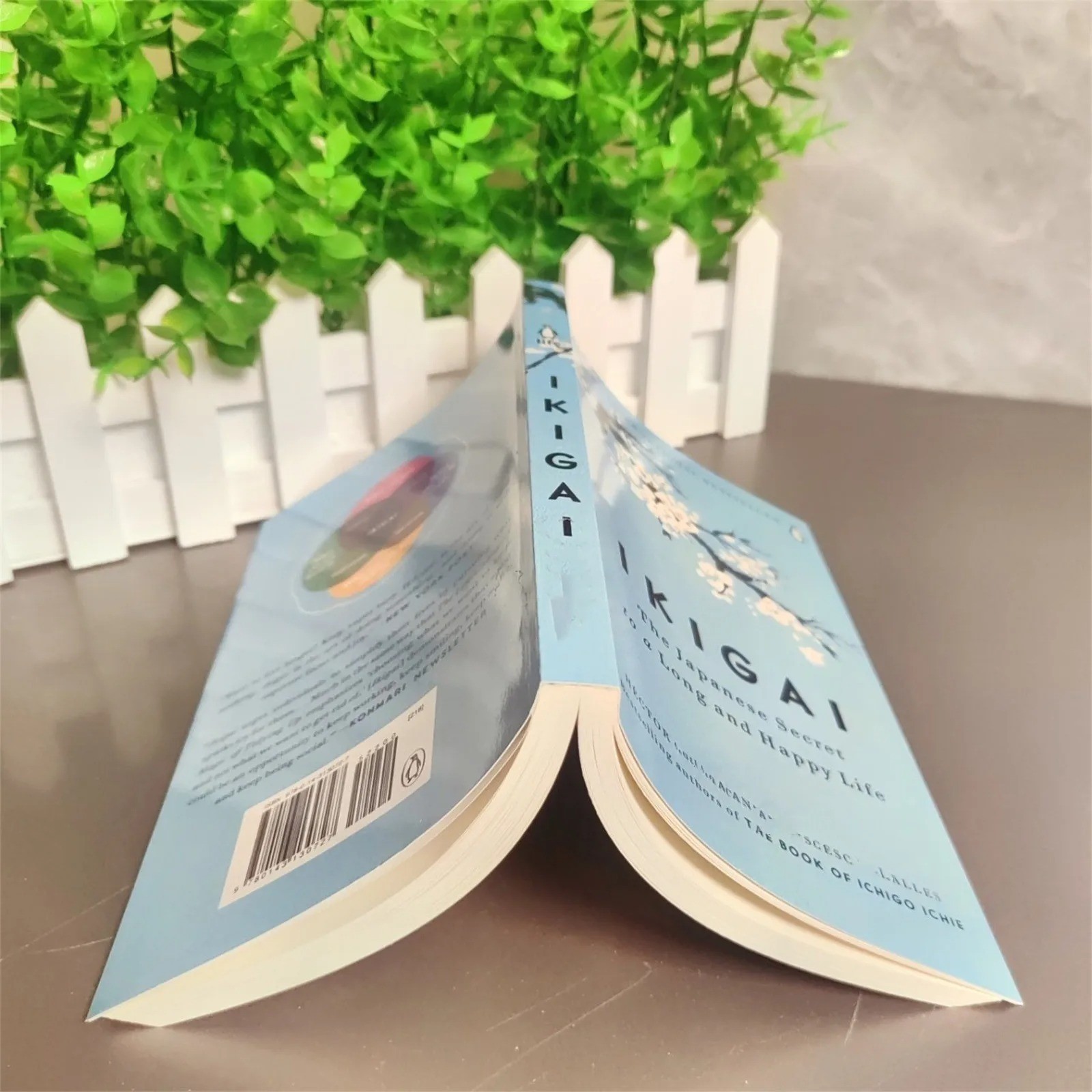 Ikigai: The Japanese Secret to a Long & Happy Life