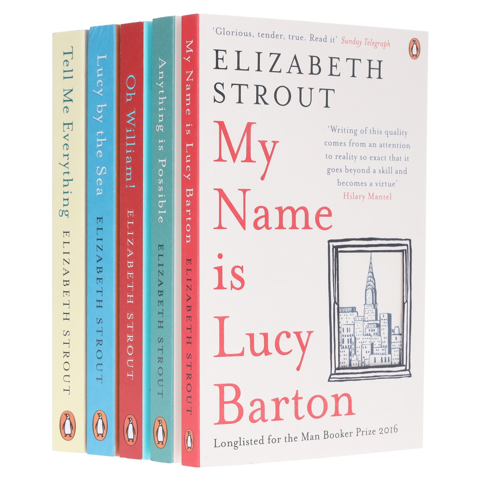 Amgash Series by Elizabeth Strout 5 Books Collection Set – Fiction – Paperback