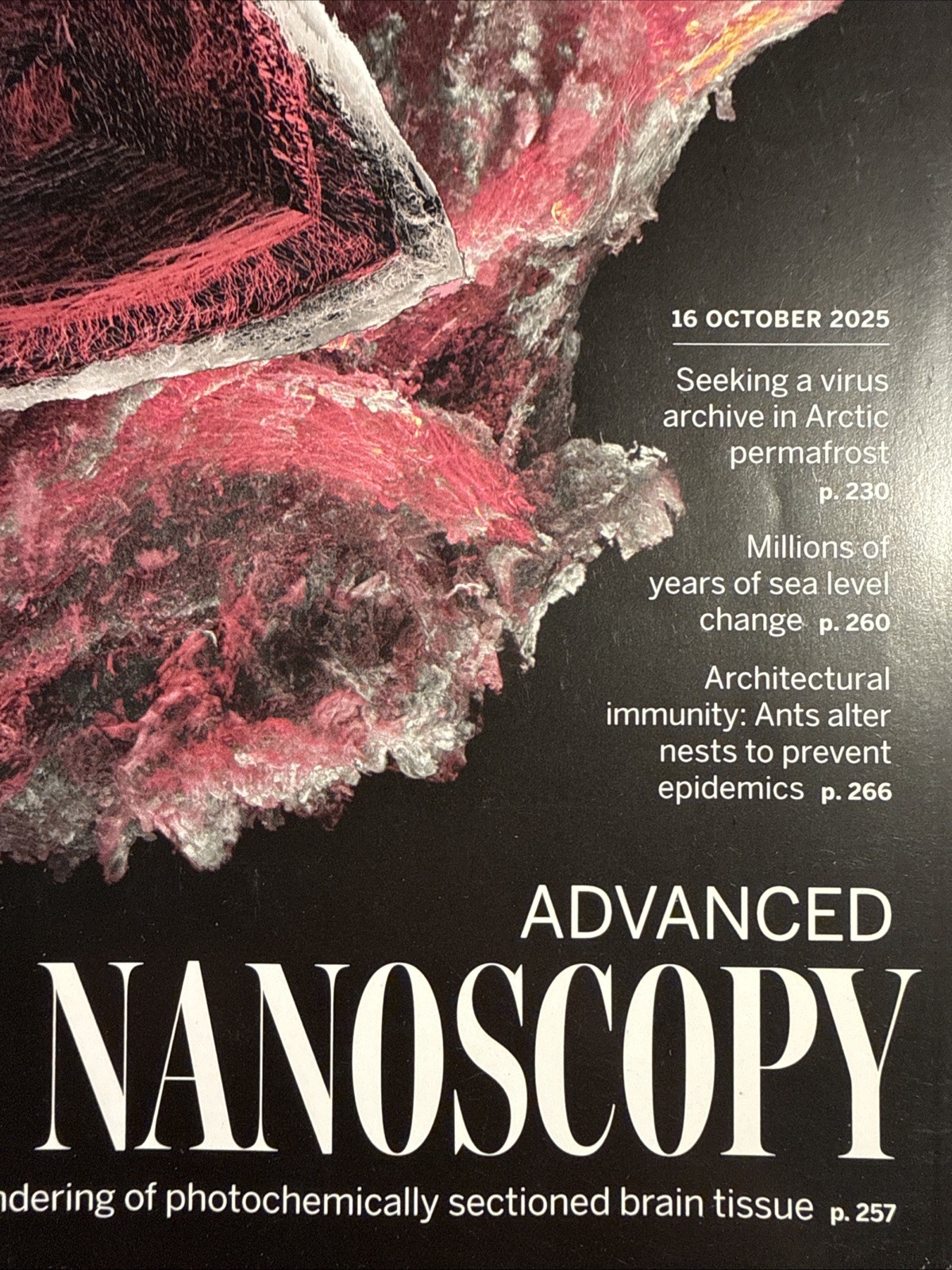 AAAS Science Magazine Vol 390 No 6770 16 October 2025 Nanoscopy 3D Virus Archive