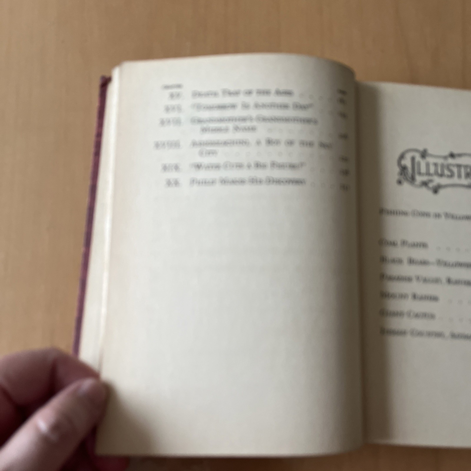 By Rail And Trail Mae Foster JAY 1st Edition 1928 Illustrated Hardcover