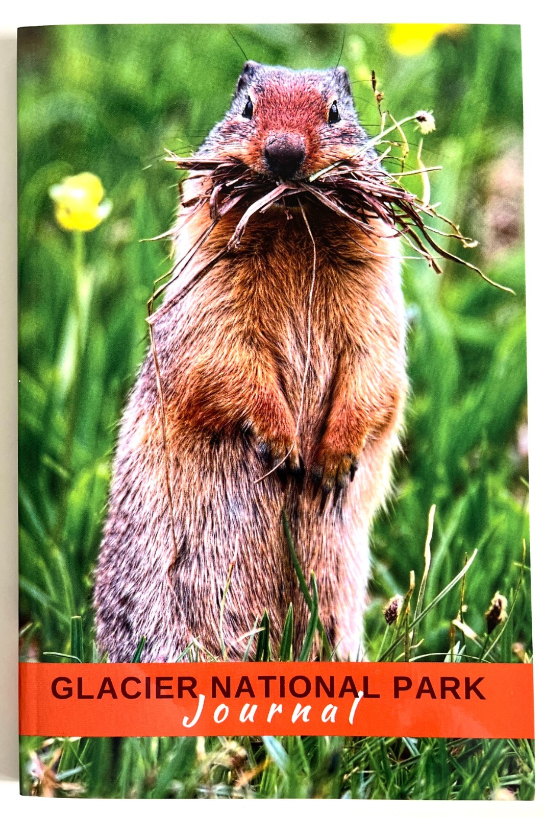 Glacier National Park Journal BRAND NEW Columbian Ground Squirrel $5.99 Huzzah