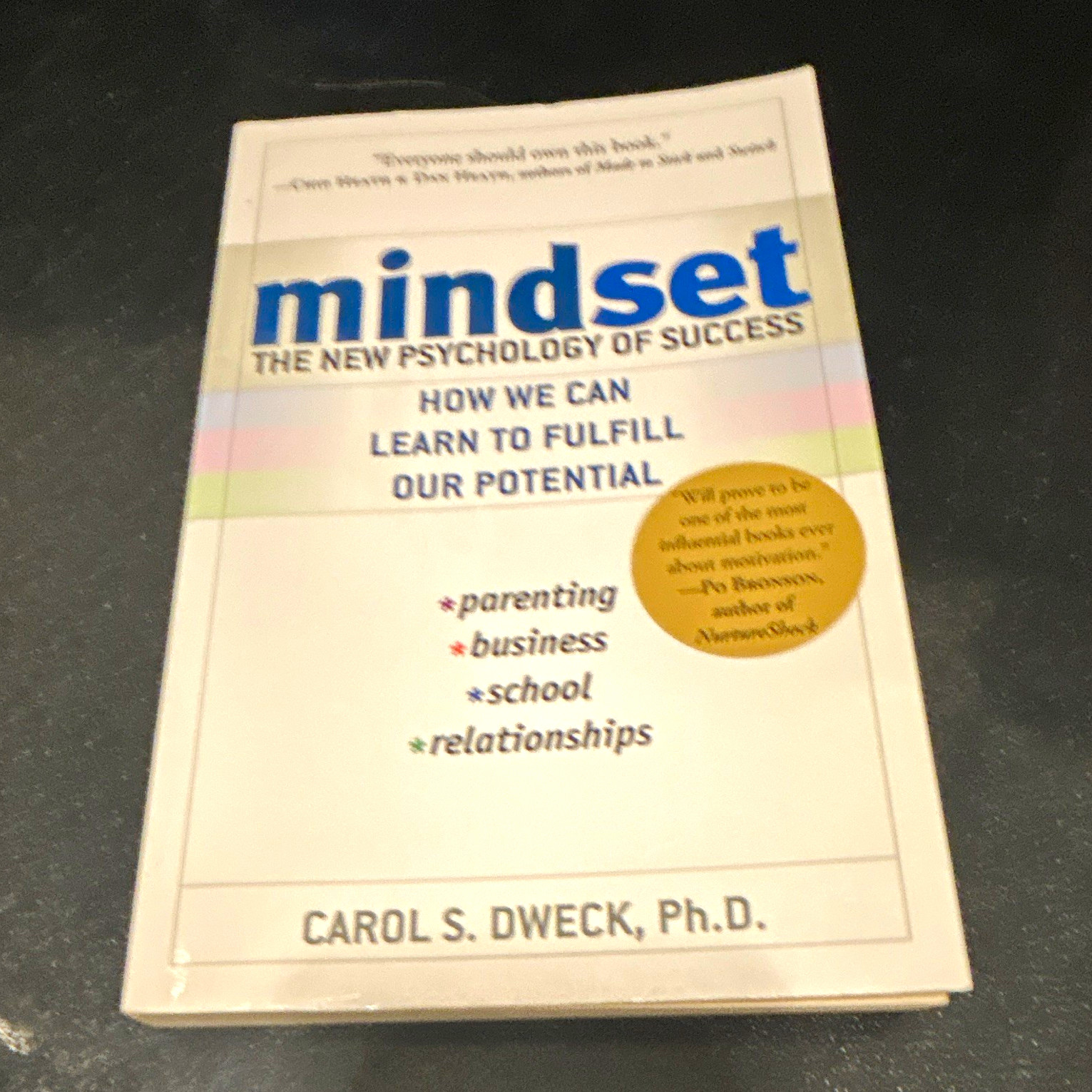 Carol S. Dweck Mindset: The New Psychology of Success Trade Paperback
