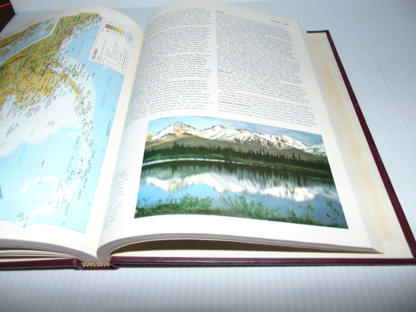 Vintage 1990 -Academic American Encyclopedia Vol 1 (A-Ang) GC