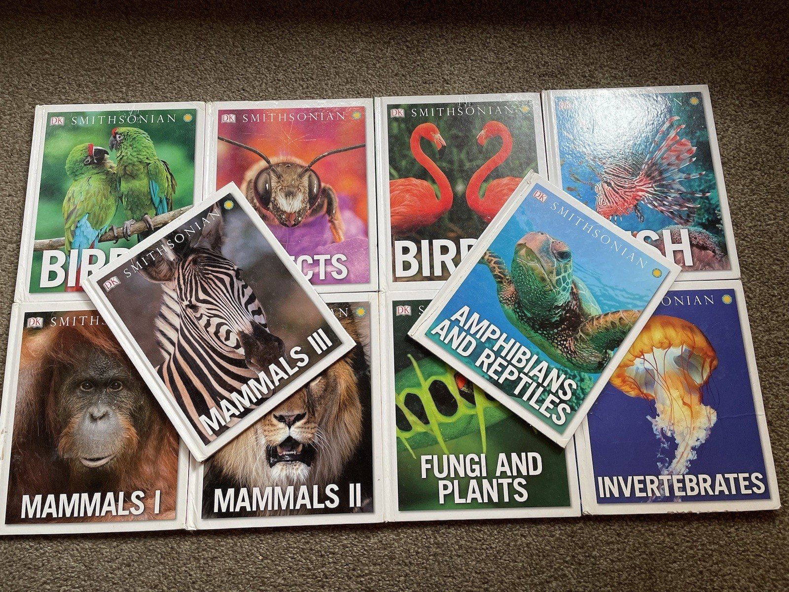 Lot of 20 DK Smithsonian Educational Childrens Book Set