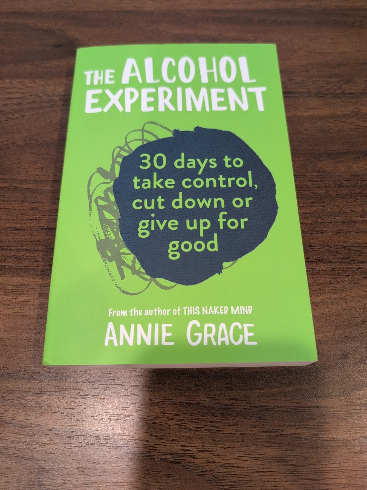 The Alcohol Experiment – Paperback By Grace, Annie
