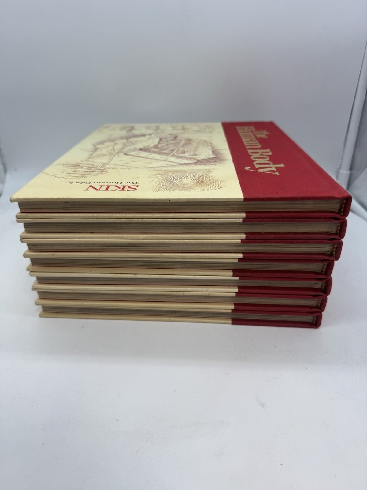 Vintage 80’s The Human Body Book Lot 7 HC US News Books Anatomy Science Medical