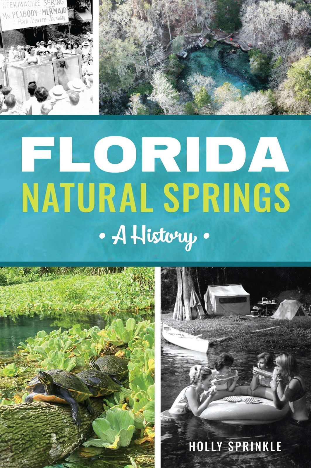 NEW The History Press Florida Natural Springs, FL 9781467156974 Trade Paperback